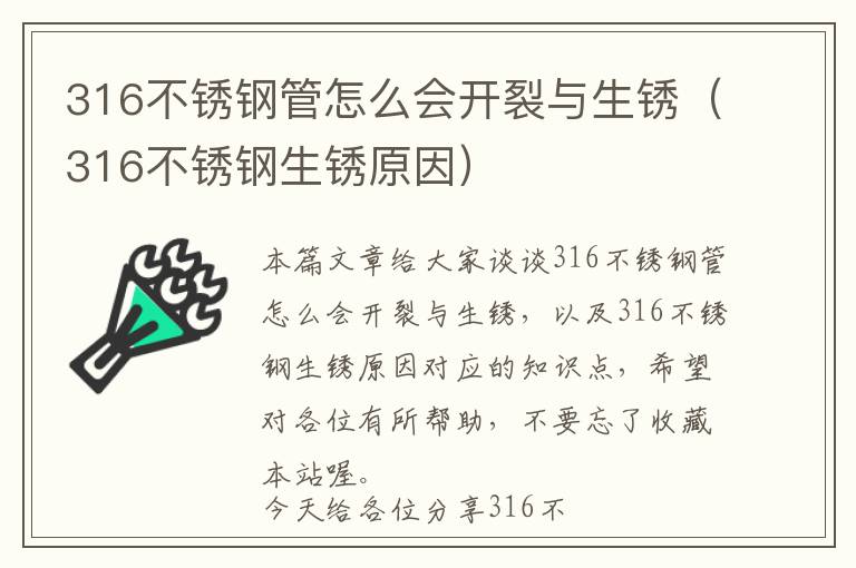 开发软件和设计网页，哪个软件可以用来开发与设计网页