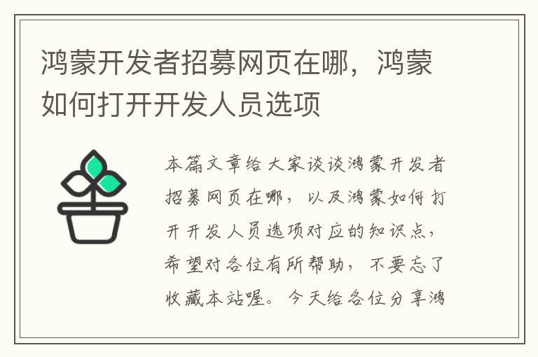 鸿蒙开发者招募网页在哪，鸿蒙如何打开开发人员选项