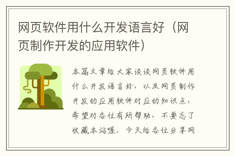 网页软件用什么开发语言好（网页制作开发的应用软件）