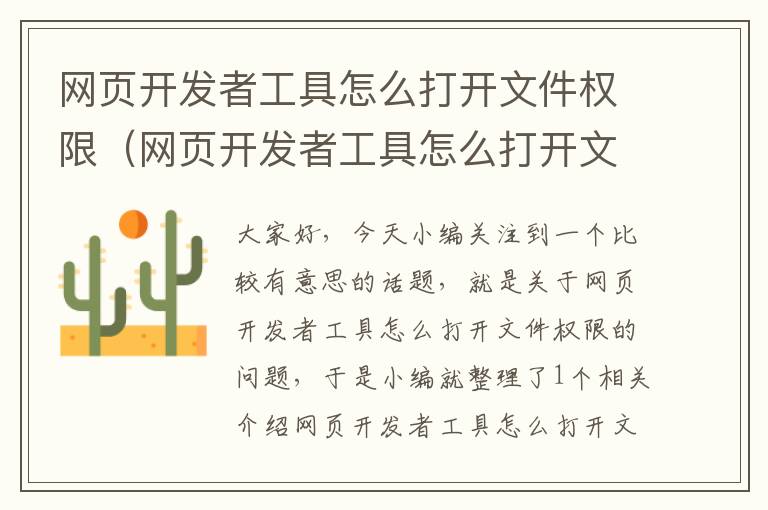 网页开发者工具怎么打开文件权限（网页开发者工具怎么打开文件权限设置）