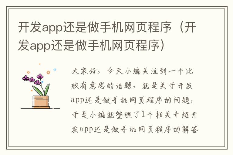 开发app还是做手机网页程序（开发app还是做手机网页程序）