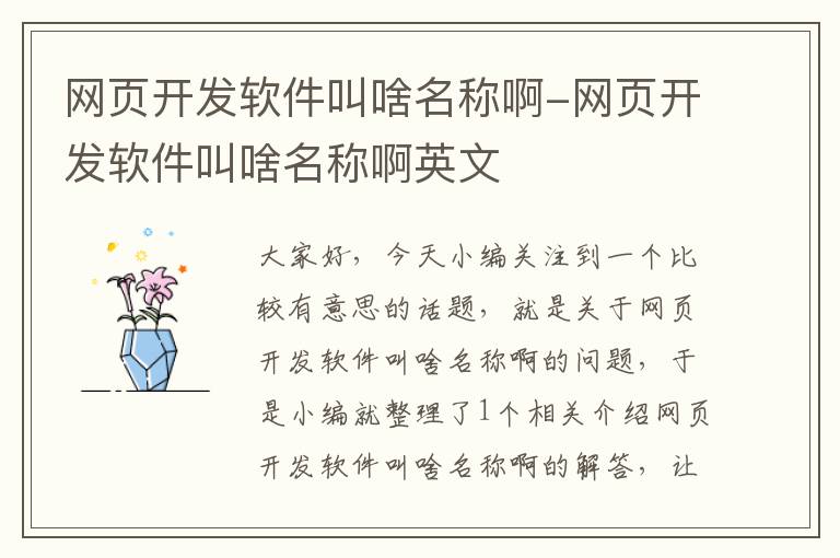 网页开发软件叫啥名称啊-网页开发软件叫啥名称啊英文