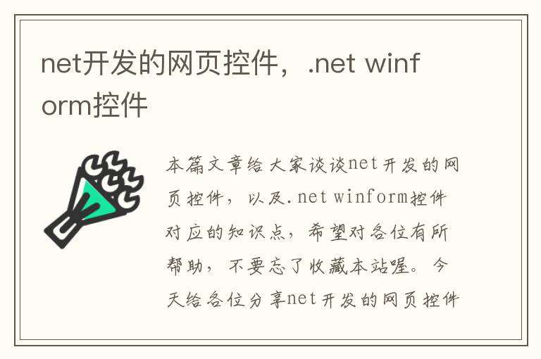 net开发的网页控件，.net winform控件