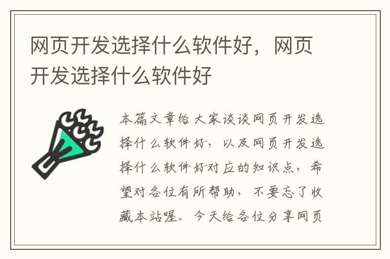 网页开发选择什么软件好，网页开发选择什么软件好