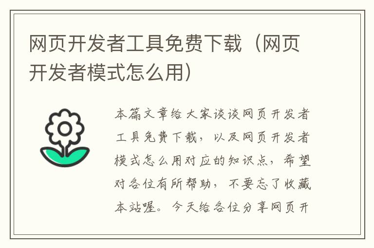 网页开发者工具免费下载（网页开发者模式怎么用）