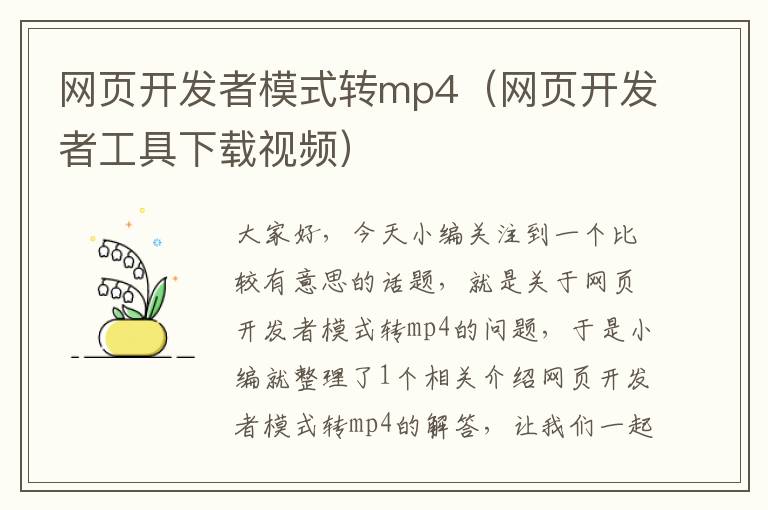 网页开发者模式转mp4（网页开发者工具下载视频）