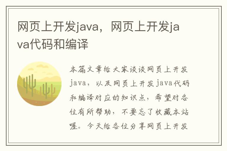 网页上开发java，网页上开发java代码和编译