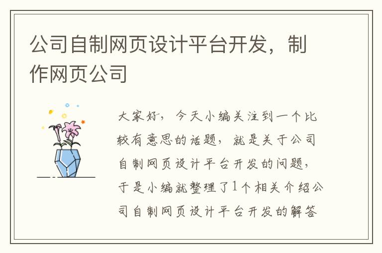 公司自制网页设计平台开发，制作网页公司