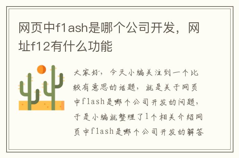 网页中f1ash是哪个公司开发，网址f12有什么功能