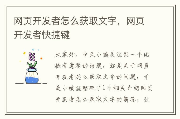 网页开发者怎么获取文字，网页开发者快捷键