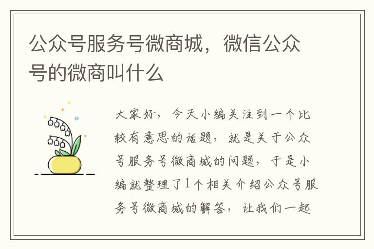 公众号服务号微商城，微信公众号的微商叫什么