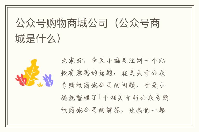 公众号购物商城公司（公众号商城是什么）