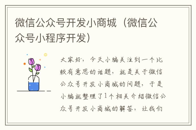 微信公众号开发小商城（微信公众号小程序开发）