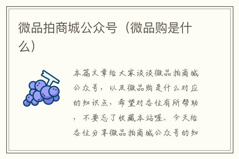 微品拍商城公众号（微品购是什么）