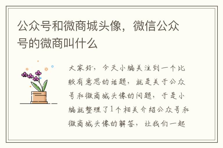 公众号和微商城头像，微信公众号的微商叫什么