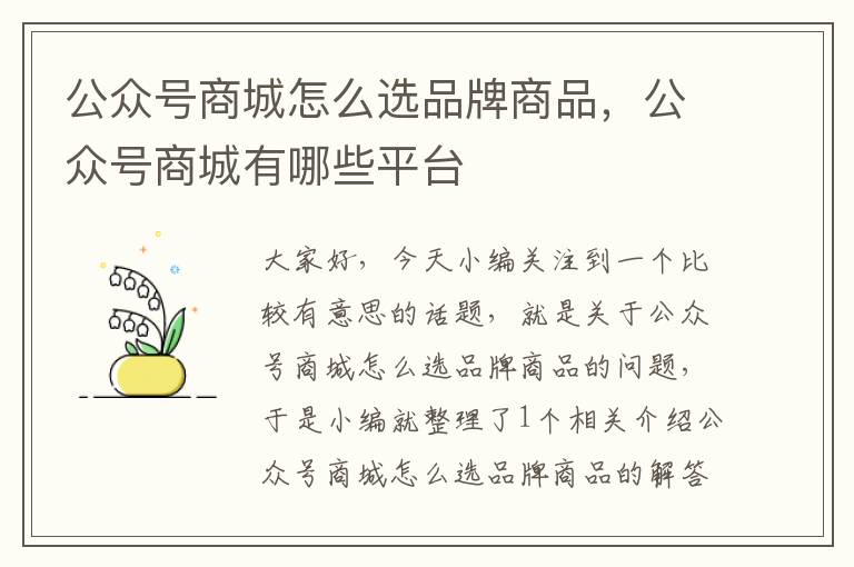 公众号商城怎么选品牌商品，公众号商城有哪些平台