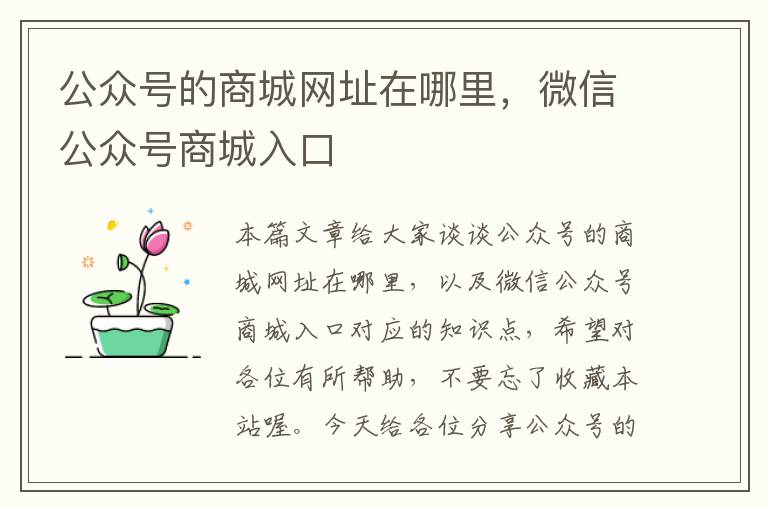 公众号的商城网址在哪里，微信公众号商城入口