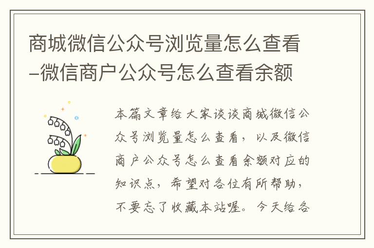 商城微信公众号浏览量怎么查看-微信商户公众号怎么查看余额