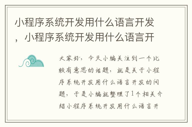 小程序系统开发用什么语言开发，小程序系统开发用什么语言开发好