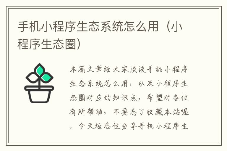 手机小程序生态系统怎么用（小程序生态圈）