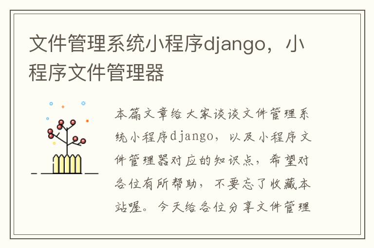 文件管理系统小程序django，小程序文件管理器