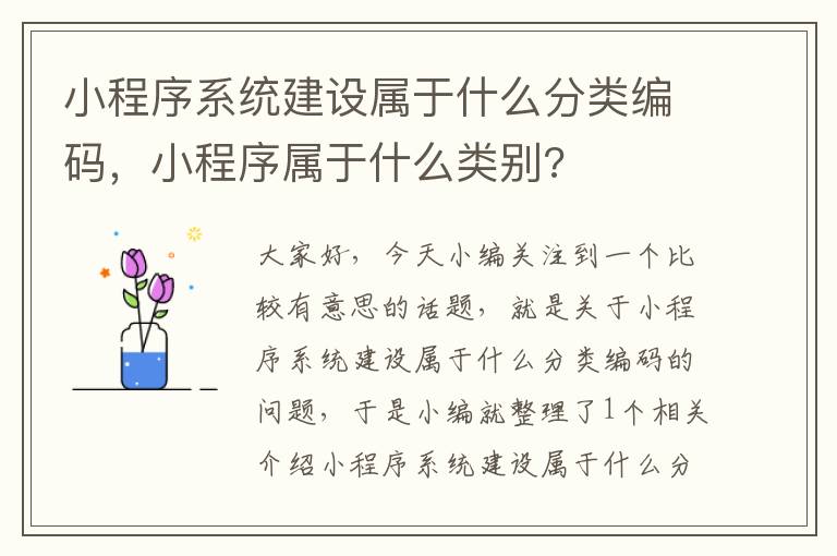 小程序系统建设属于什么分类编码，小程序属于什么类别?