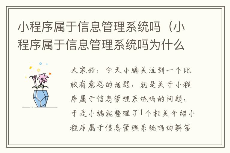 小程序属于信息管理系统吗（小程序属于信息管理系统吗为什么）