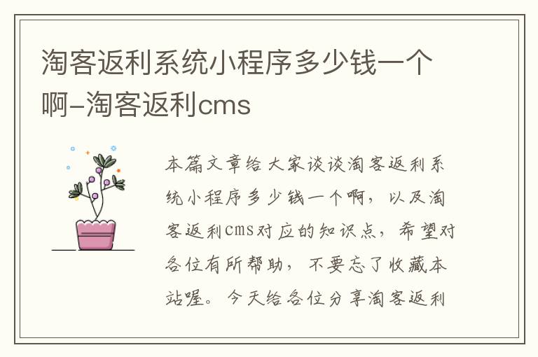 淘客返利系统小程序多少钱一个啊-淘客返利cms