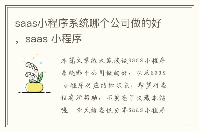 saas小程序系统哪个公司做的好，saas 小程序