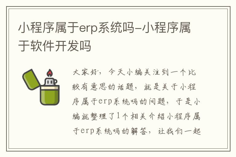 小程序属于erp系统吗-小程序属于软件开发吗