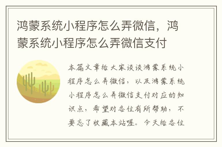 鸿蒙系统小程序怎么弄微信，鸿蒙系统小程序怎么弄微信支付