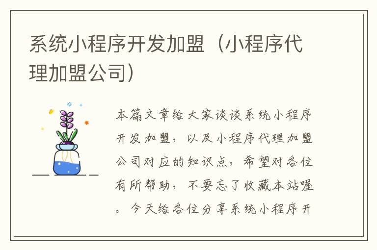 系统小程序开发加盟（小程序代理加盟公司）