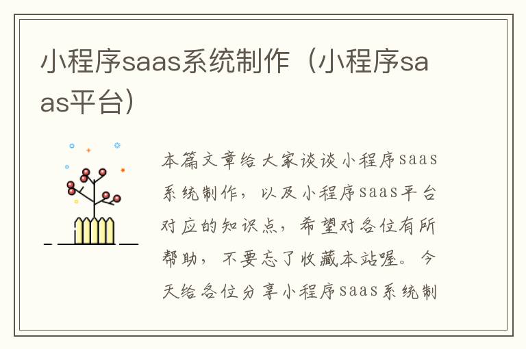 小程序saas系统制作（小程序saas平台）