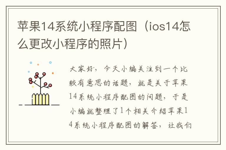 苹果14系统小程序配图（ios14怎么更改小程序的照片）