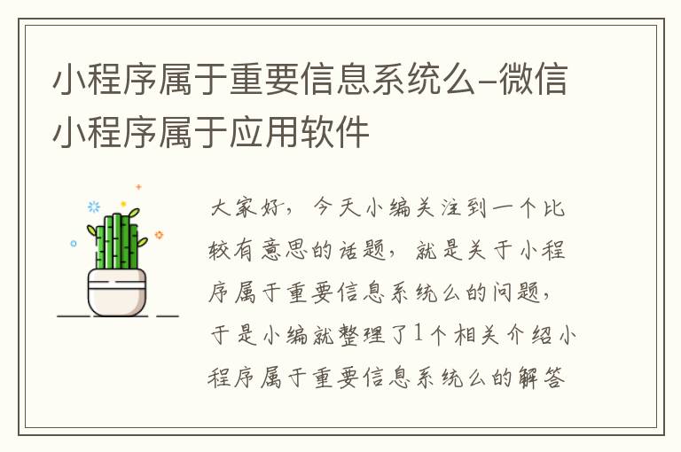 小程序属于重要信息系统么-微信小程序属于应用软件