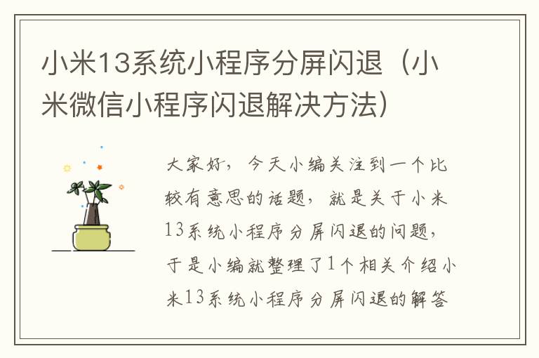 小米13系统小程序分屏闪退（小米微信小程序闪退解决方法）