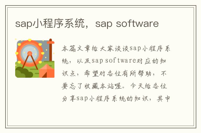 sap小程序系统，sap software