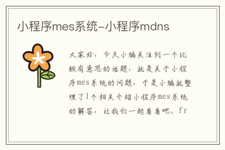 小程序mes系统-小程序mdns