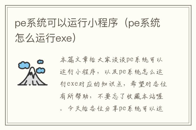 pe系统可以运行小程序（pe系统怎么运行exe）