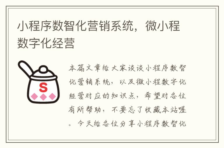 小程序数智化营销系统，微小程数字化经营