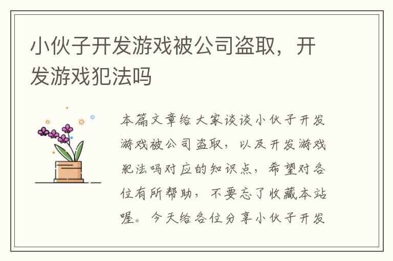 小伙子开发游戏被公司盗取，开发游戏犯法吗