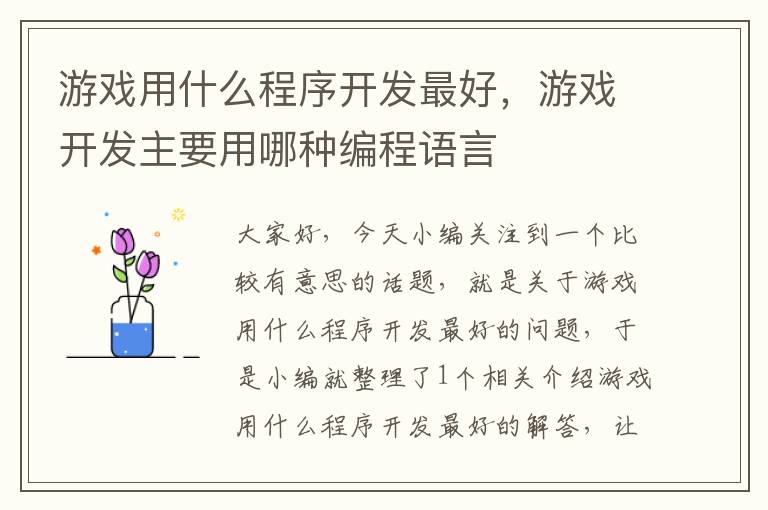 游戏用什么程序开发最好，游戏开发主要用哪种编程语言