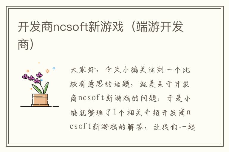 开发商ncsoft新游戏（端游开发商）