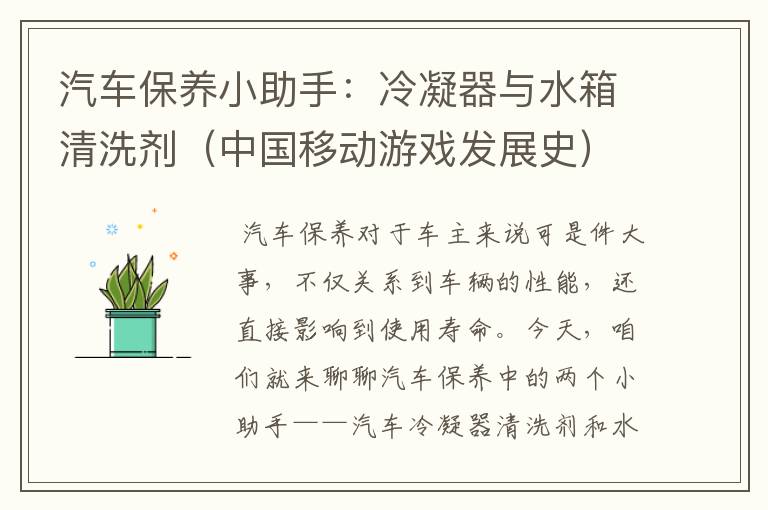 汽车保养小助手：冷凝器与水箱清洗剂（中国移动游戏发展史）