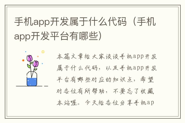 手机app开发属于什么代码（手机app开发平台有哪些）