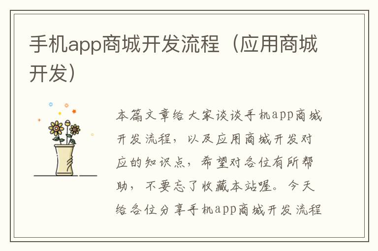 手机app商城开发流程（应用商城开发）