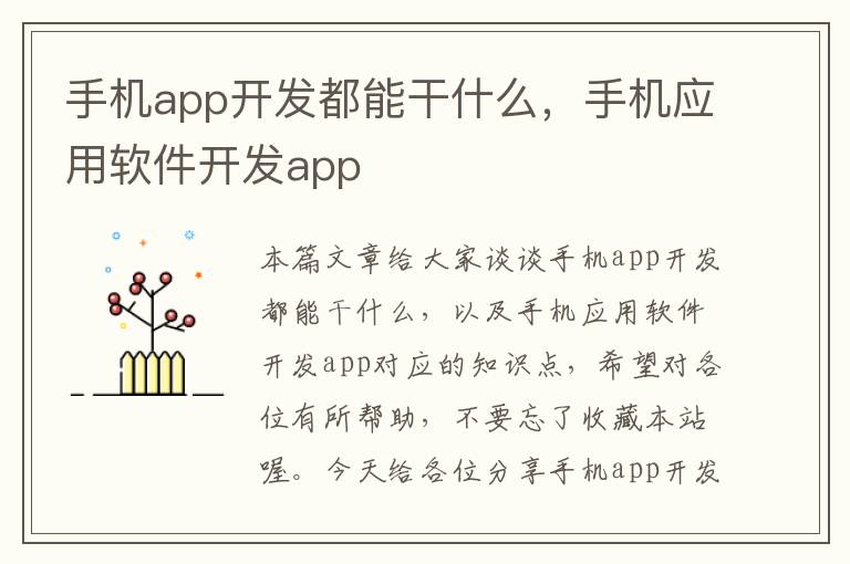 手机app开发都能干什么，手机应用软件开发app