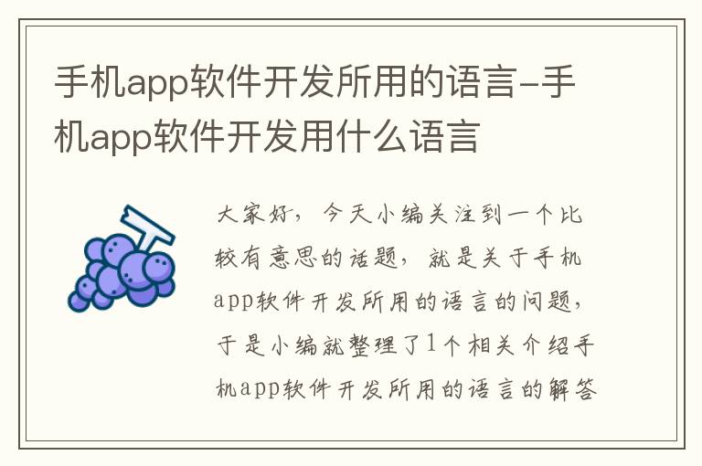 手机app软件开发所用的语言-手机app软件开发用什么语言