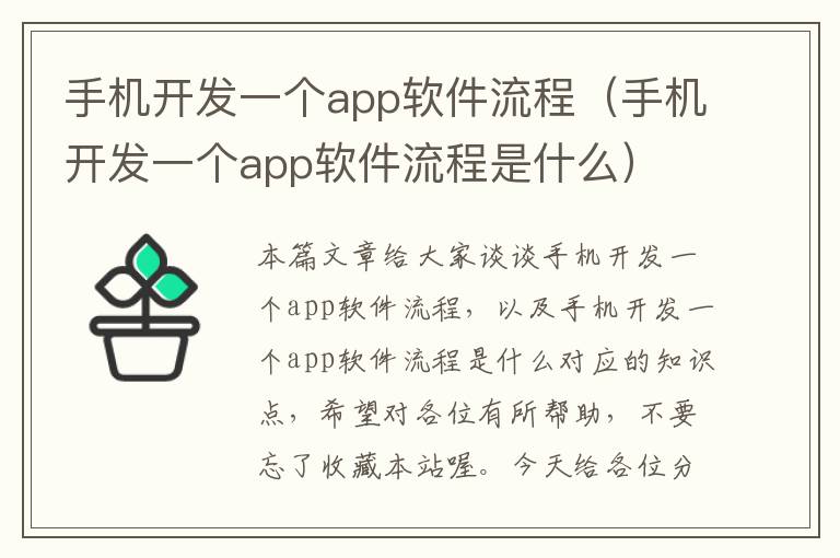 手机开发一个app软件流程（手机开发一个app软件流程是什么）