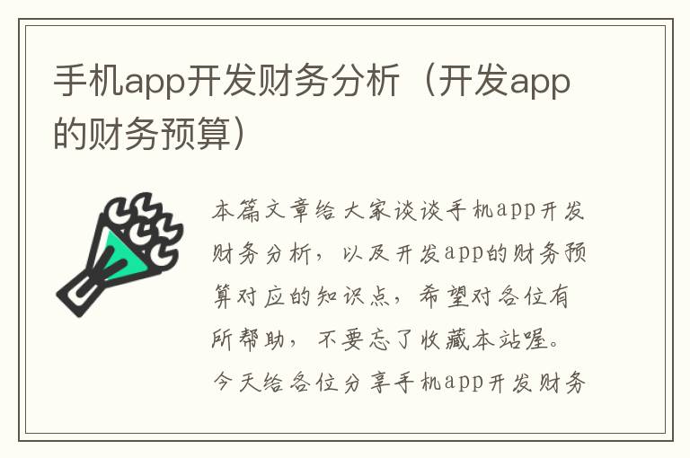 手机app开发财务分析（开发app的财务预算）